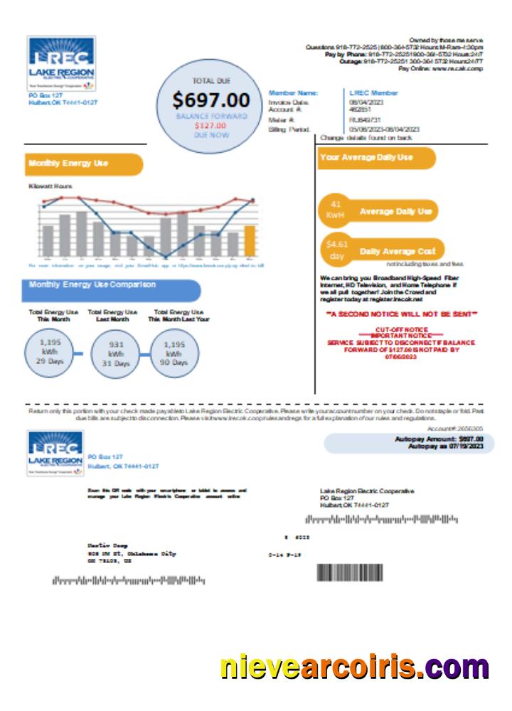 Lake Region Electric Cooperative utility business bill